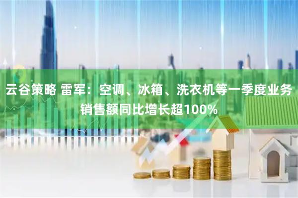 云谷策略 雷军：空调、冰箱、洗衣机等一季度业务销售额同比增长超100%