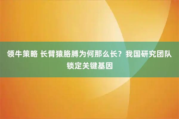 领牛策略 长臂猿胳膊为何那么长？我国研究团队锁定关键基因